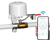 Smart WiFi Water Gas Valve