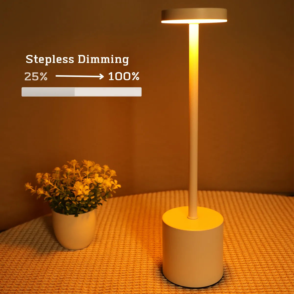 Rechargeable Touch Metal Table Lamp: Versatile Lighting for Any Space