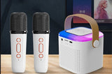 Portable Wireless Dual Microphone