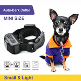 Small Dog Auto Bark Collar