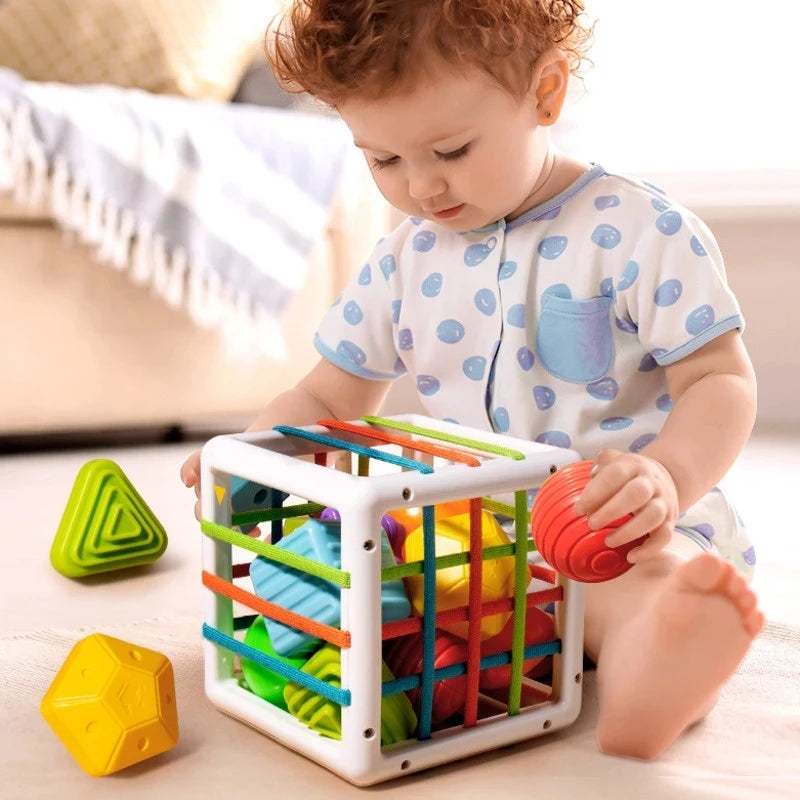 Shape Sorter Cube Toy: Educational Motor Skills Fun for Kids!