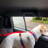 Two-in-One Pet Car Seat Belt: Safety and Convenience!