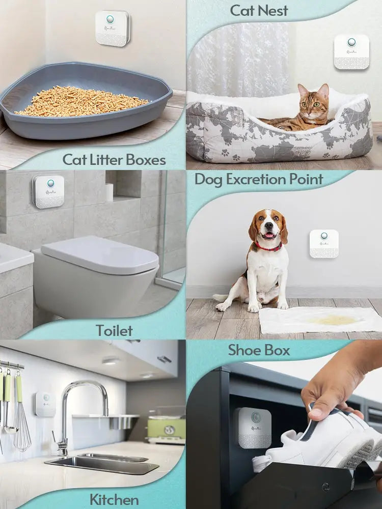 Smart Cat Odor Purifier: Keep Your Pet's Space Fresh