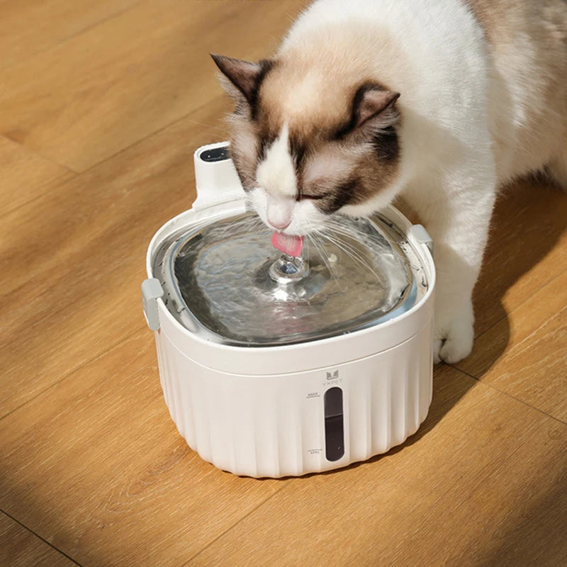 2L Cat Water Fountain