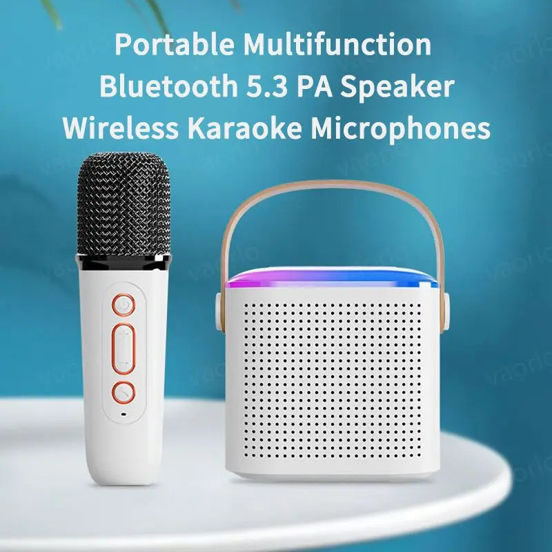 Portable Wireless Dual Microphone