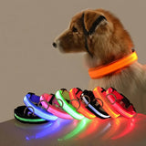 Glowing Nylon LED Dog Leash: Nighttime Safety Essential!