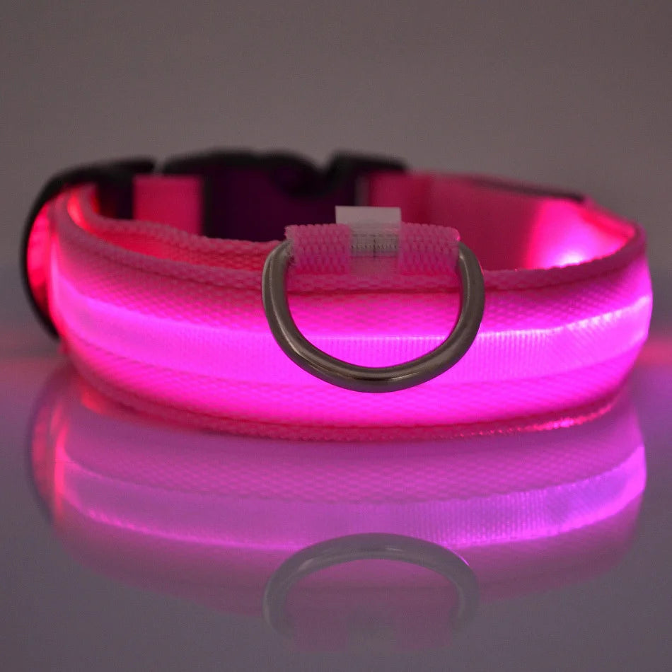 Glowing Nylon LED Dog Leash: Nighttime Safety Essential!