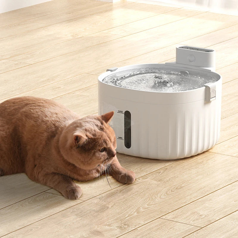 2L Cat Water Fountain