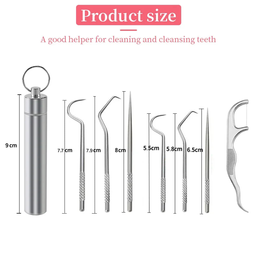 Stainless Steel Toothpick Set: Reusable, Portable Oral Care Kit