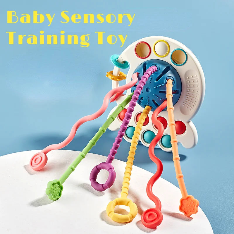 Sensory Development Toy: Early Learning Fun