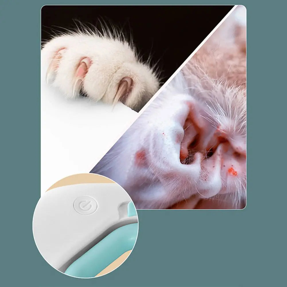 Pet Care Beauty Tools - easynow.com